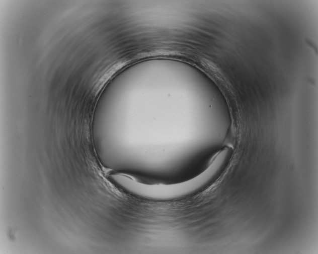 X0000099541177200806131142