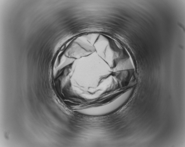 X0000099541179200806131142