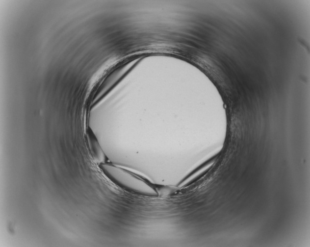 X0000099541180200806131142