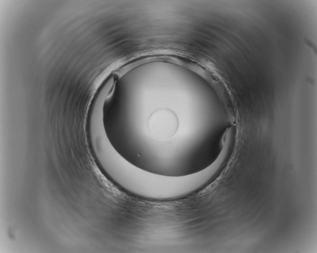 X0000099541181200806131142