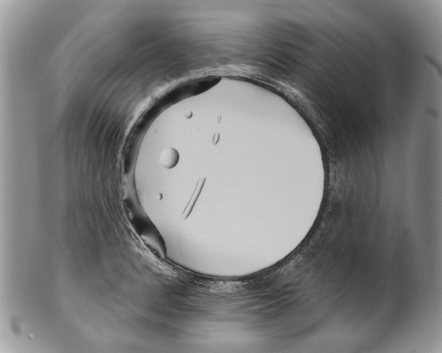 X0000099541184200806131142