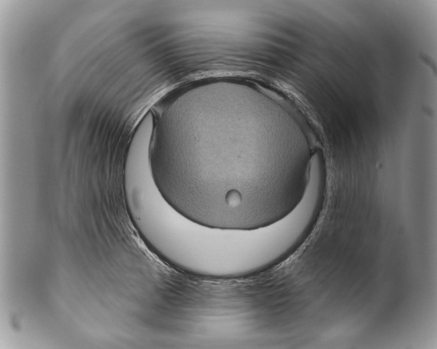 X0000099541185200806131142