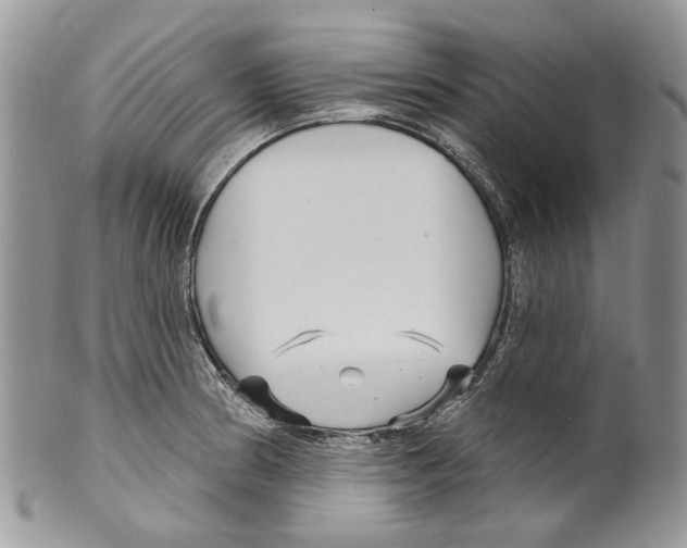 X0000099541186200806131142