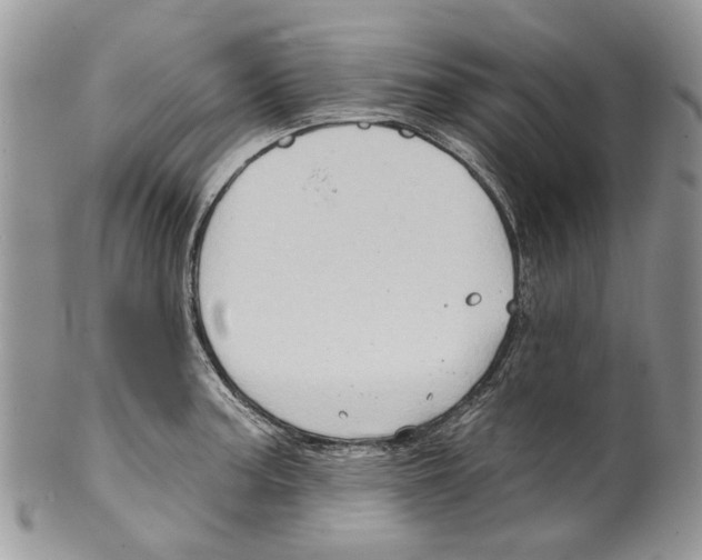 X0000099541187200806131142