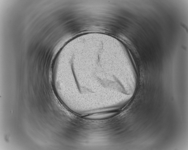 X0000099541188200806131142