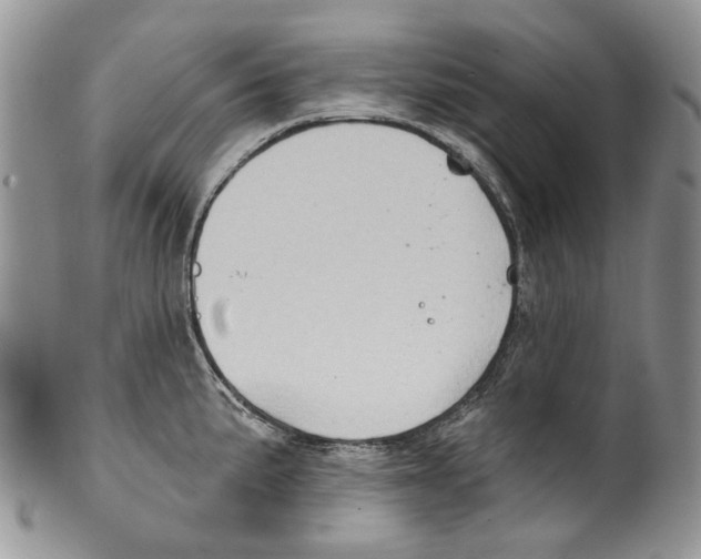 X0000099541191200806131142