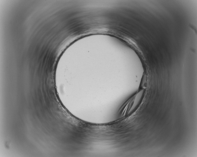 X0000099541192200806131142