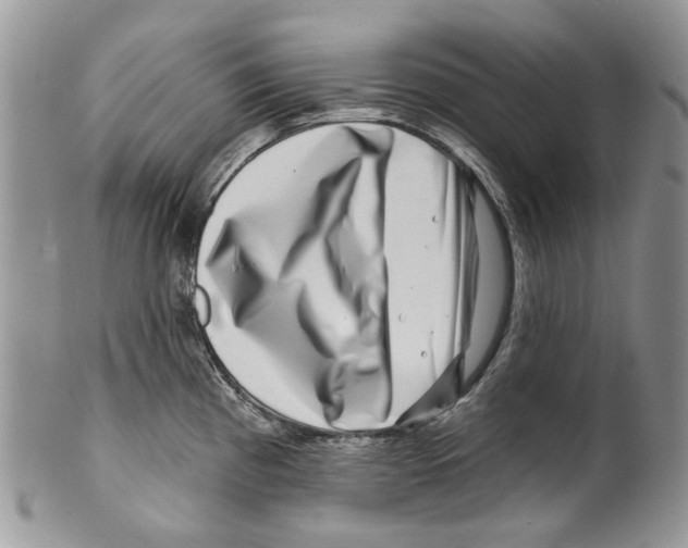 X0000099541193200806131142