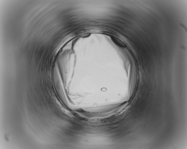 X0000099541194200806131142