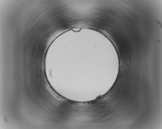 X0000099541195200806131142