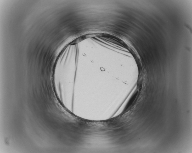 X0000099541197200806131142