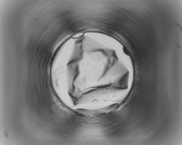 X0000099541198200806131142