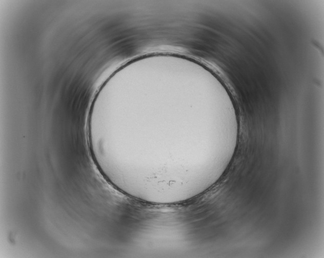 X0000099541199200806131142