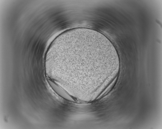 X0000099541200200806131142