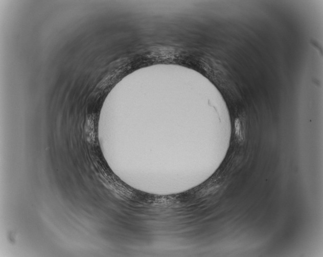 X0000099541203200806131141