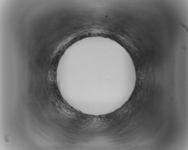 X0000099541207200806131142