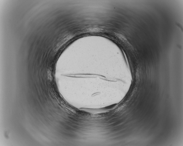 X0000099541209200806131142