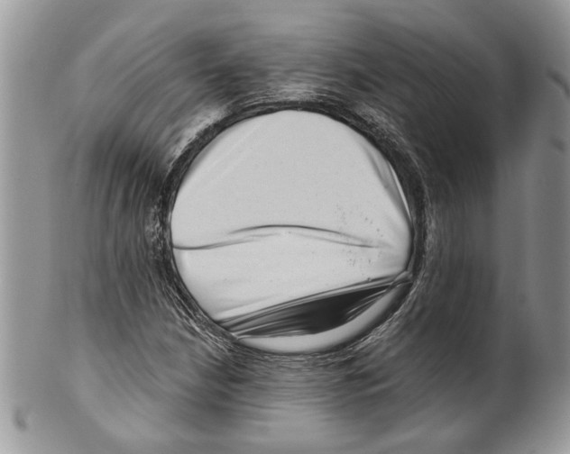 X0000099541210200806131142