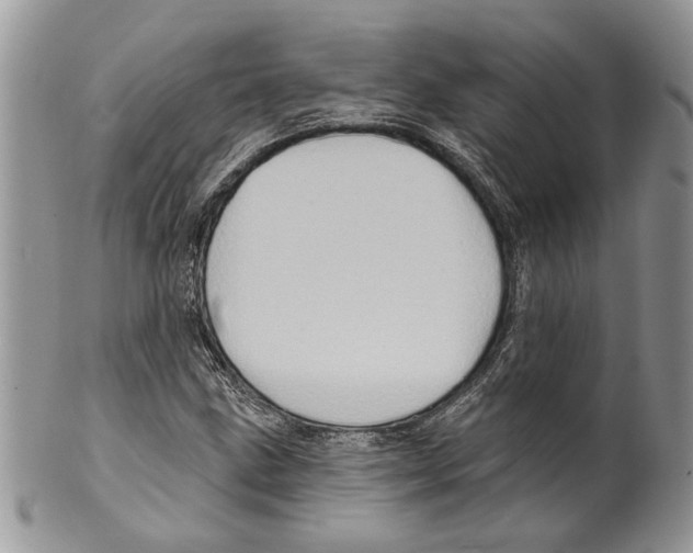 X0000099541211200806131142