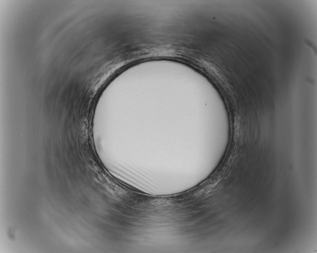 X0000099541212200806131142