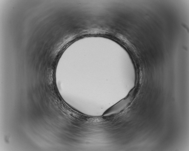 X0000099541213200806131142