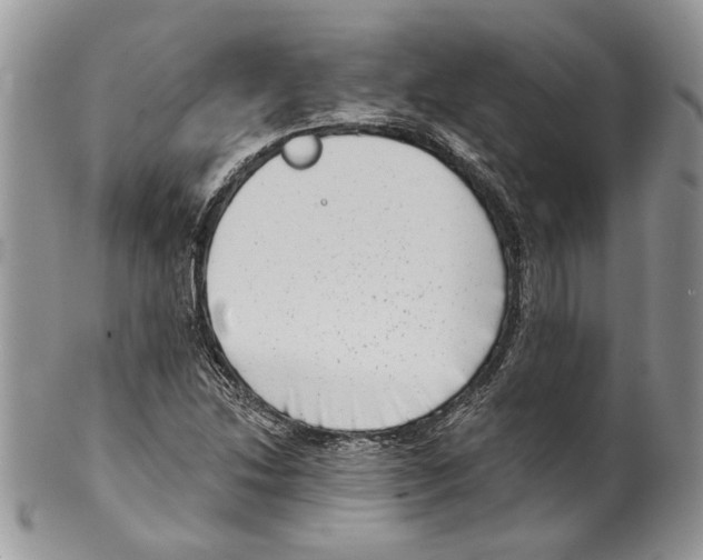 X0000099541214200806131142