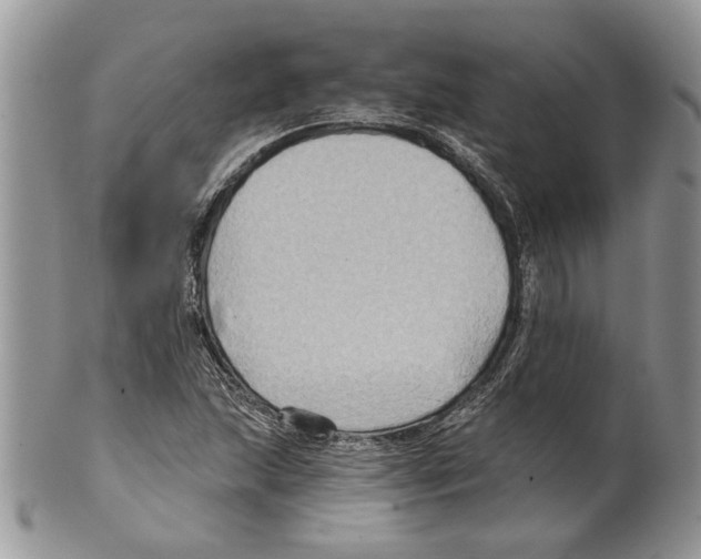 X0000099541215200806131142