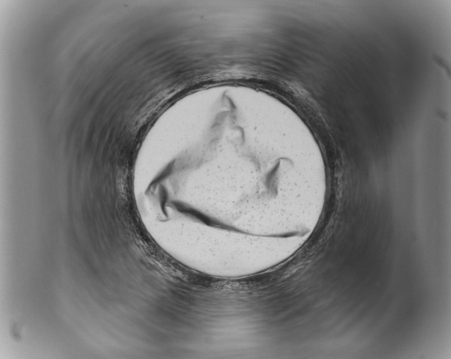 X0000099541217200806131142