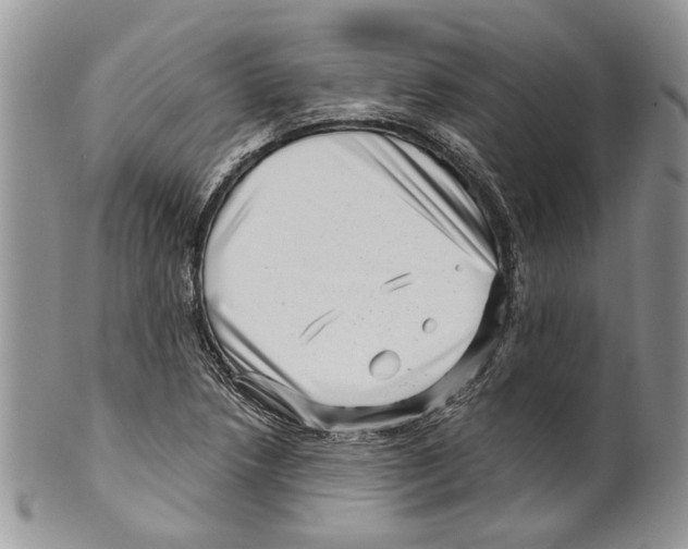 X0000099541218200806131142