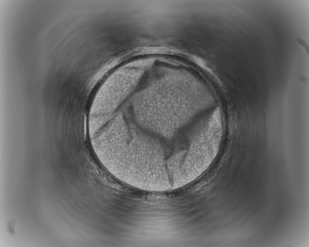 X0000099541221200806131142