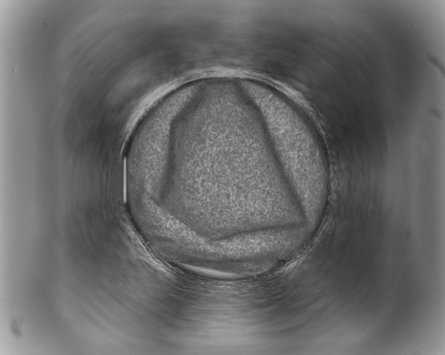 X0000099541223200806131142