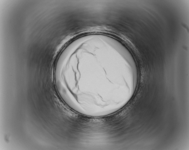 X0000099541224200806131142