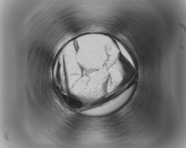 X0000099541226200806131142