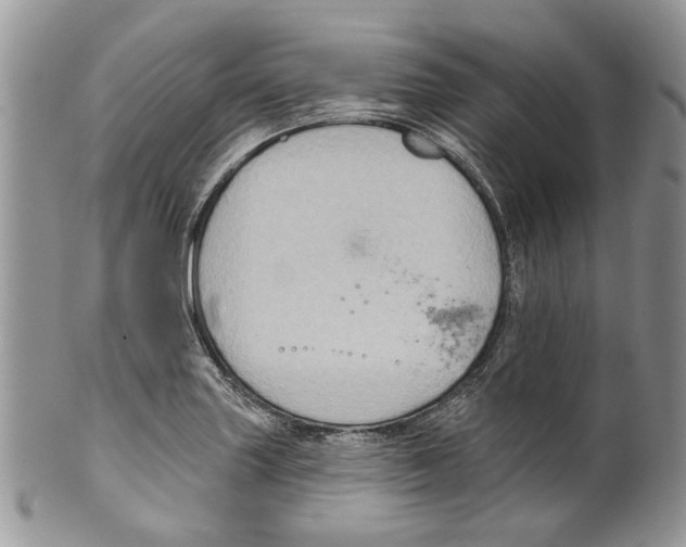 X0000099541227200806131142