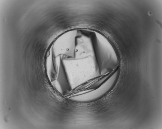 X0000099541230200806131142