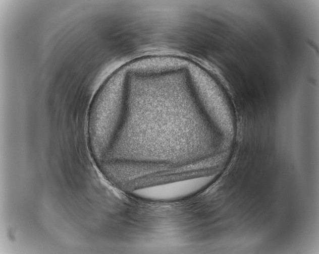 X0000099541231200806131142