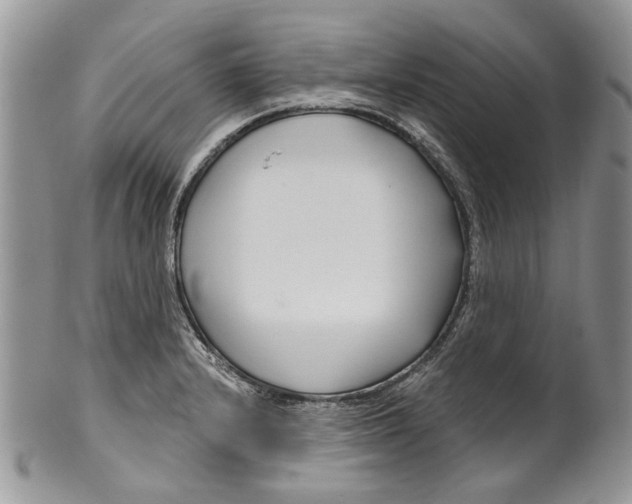 X0000099541232200806131142