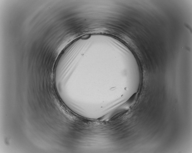 X0000099541234200806131142