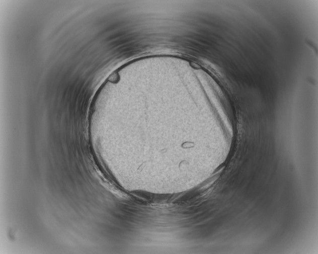 X0000099541236200806131142