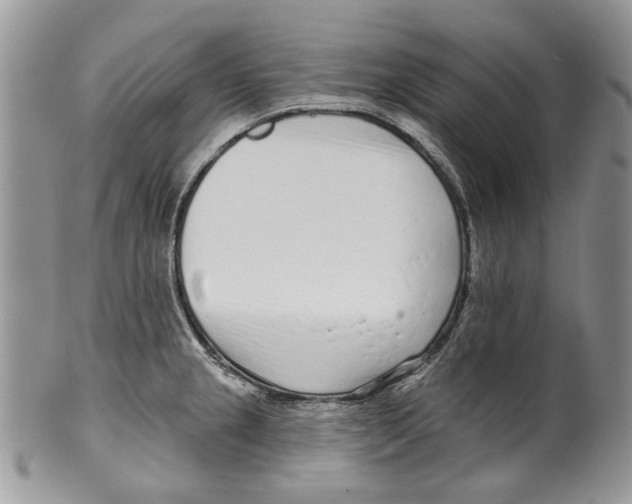 X0000099541237200806131142