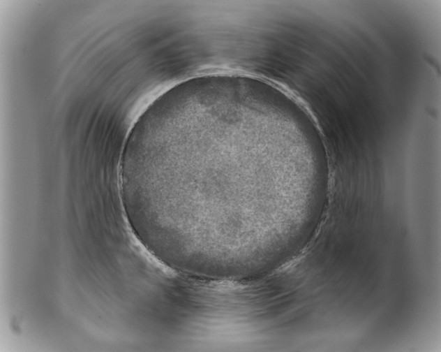 X0000099541239200806131142