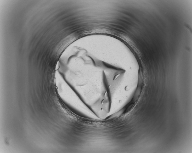 X0000099541241200806131142