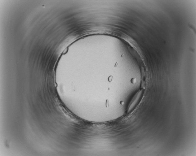 X0000099541242200806131142