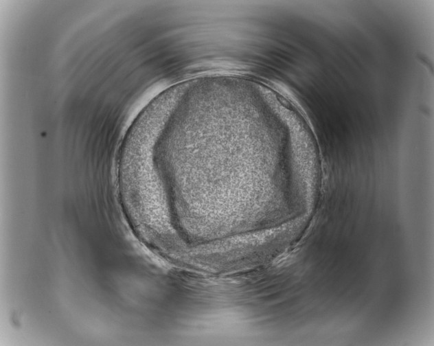 X0000099541243200806131142