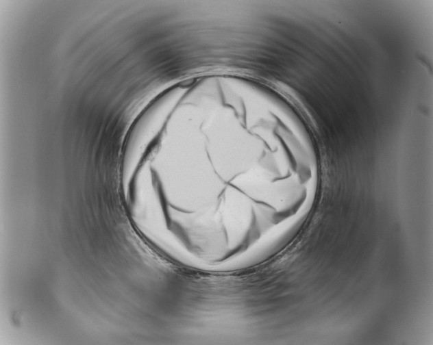 X0000099541244200806131142