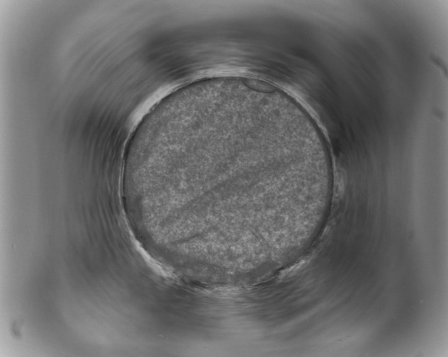 X0000099541245200806131142