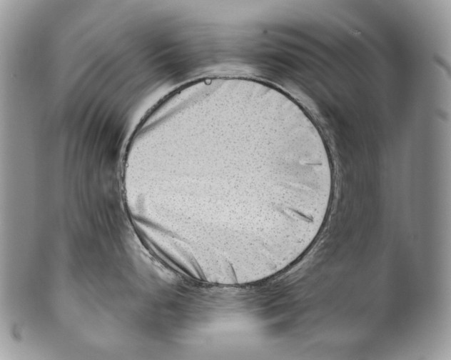 X0000099541248200806131142