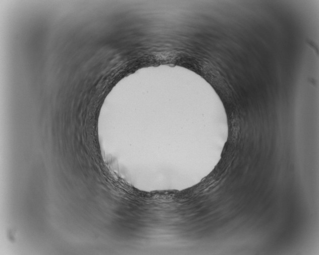 X0000099541249200806131141