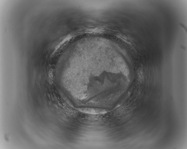 X0000099541254200806131141