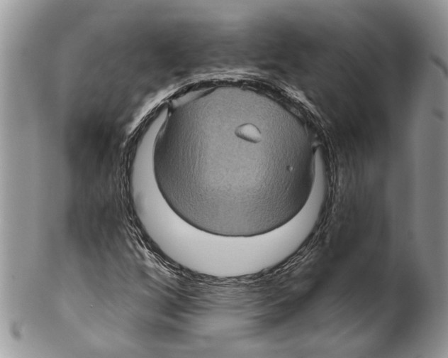 X0000099541256200806131141